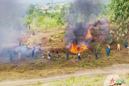 Khánh Hòa: Diễn tập phòng, chống cháy rừng thị xã Ninh Hòa
